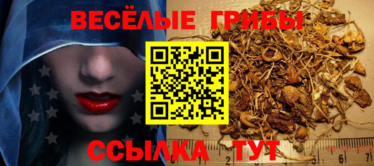 Псилоцибиновые грибы ЛСД  Вход с VPN  Гатчина 