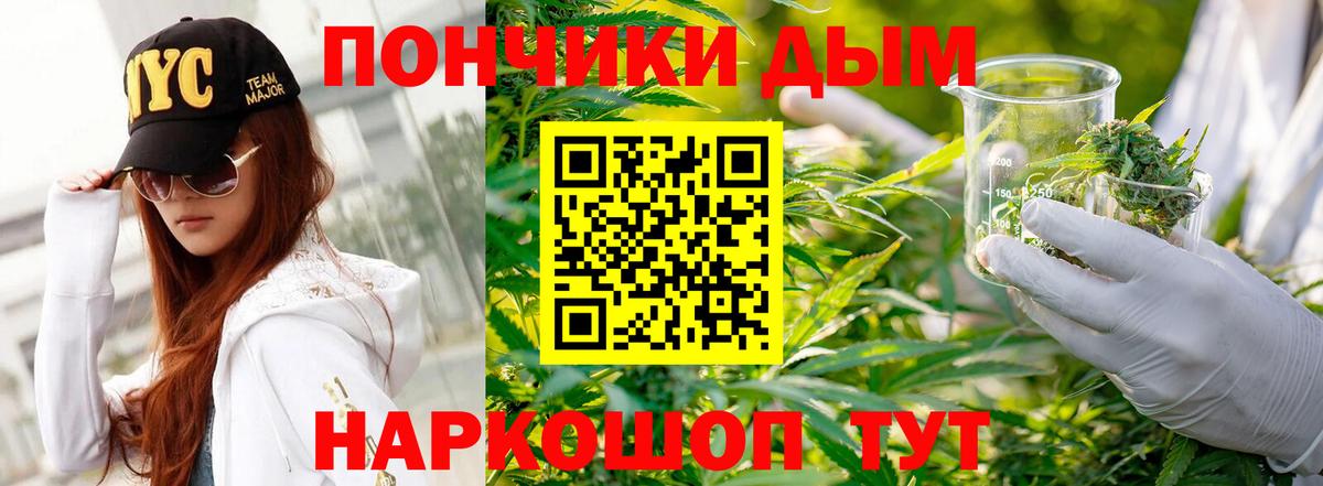 МАРИХУАНА сатива Гатчина